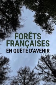 Forêts françaises en quête d'avenir