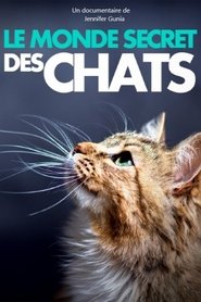 Das geheime Wesen der Katzen 2021