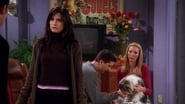 Friends - Episode 7x08