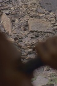 Poster music from the edge of the allegheny plateau 2018