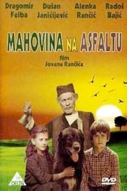 Mahovina na asfaltu