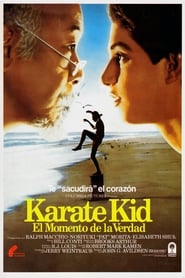 Karate Kid, el momento de la verdad poster