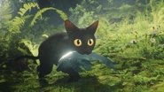 Flow : Le chat qui n'avait plus peur de l'eau