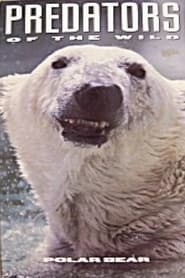 Poster Predators of the Wild: Polar Bear