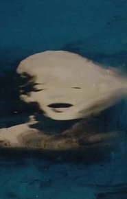 Poster Biennale di Venezia 56° - Sigla 2015
