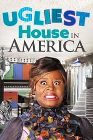Ugliest House in America постер