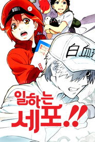Cells at Work! Cells at Work!! 17