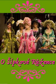 O Šípkové Růžence