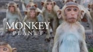 Monkey Planet en streaming