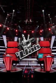 The Voice (2025)