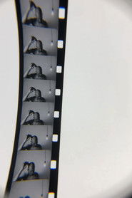 softer, softest (2025)