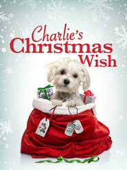 Charlie’s Christmas Wish