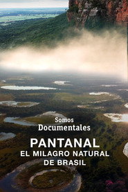 Pantanal. El milagro natural de Brasil