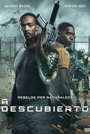 A descubierto poster