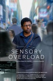 Sensory Overload (2025) Sensory Overload (2025)
