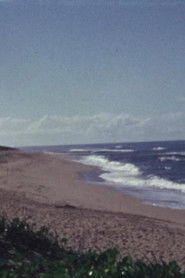 Cesto chikhelo usado em Gaza