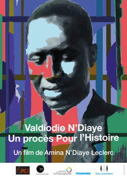 Valdiodio N'diaye, un procès pour l'histoire