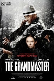 The Grandmaster 2013