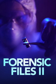 Forensic Files II постер