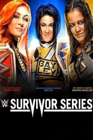 Imagen WWE Survivor Series