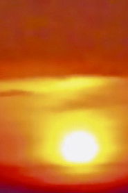 SHINYOKOHAMA. JONANJIMA WAVES