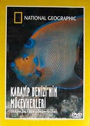 Karayip Denizinin Mücevherleri (1994)