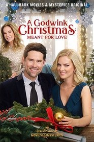 A Godwink Christmas: Meant For Love A Godwink Christmas: Meant For Love