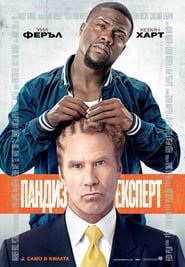 Пандиз експерт (2015)