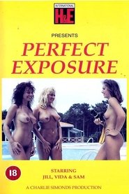 Poster Perfect Exposure 1990