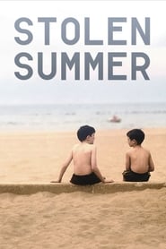 Poster for Stolen Summer