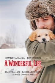 Poster A Wonderful Life