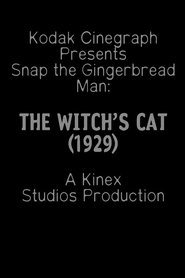 Poster The Witch's Cat 1929