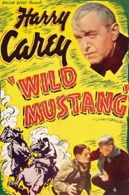 Poster Wild Mustang