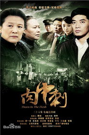 独刺 poster