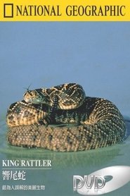 Poster King Rattler 2004
