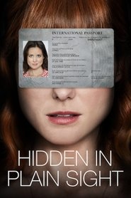 Hidden in Plain Sight постер