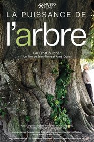 Poster La Puissance de l’arbre avec Ernst Zürcher 2020