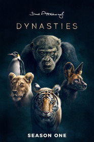 Dynasties Dynasties 5