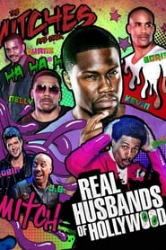 Real Husbands of Hollywood poster