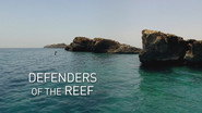 Episode 4: Defenders of the Reef