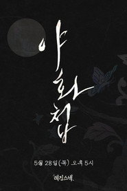 Painter of the Night poster