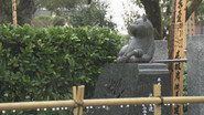 At the Pet Cemetery Where Animals Rest in Peace
