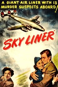 Sky Liner постер