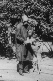 Poster Experimental Treatment of a Hemorrhage in a Dog 1930