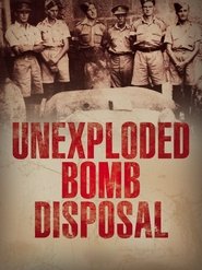 Poster U.X.B. Unexploded Bomb Disposal WWII England 2015