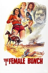 The Female Bunch (1971) HD