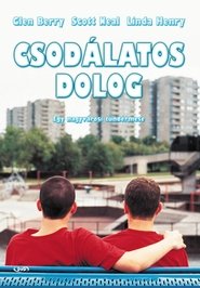 Csodálatos dolog poszter