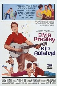 Kid Galahad 1962 Med Norsk Tale