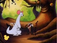 Timón y Pumba 1x4