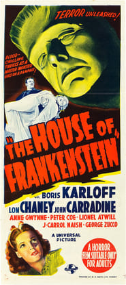 Будинок Франкенштейна постер